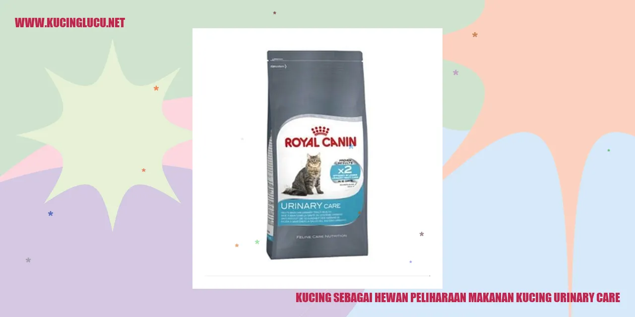 Kucing dan Makanan Urinary Care