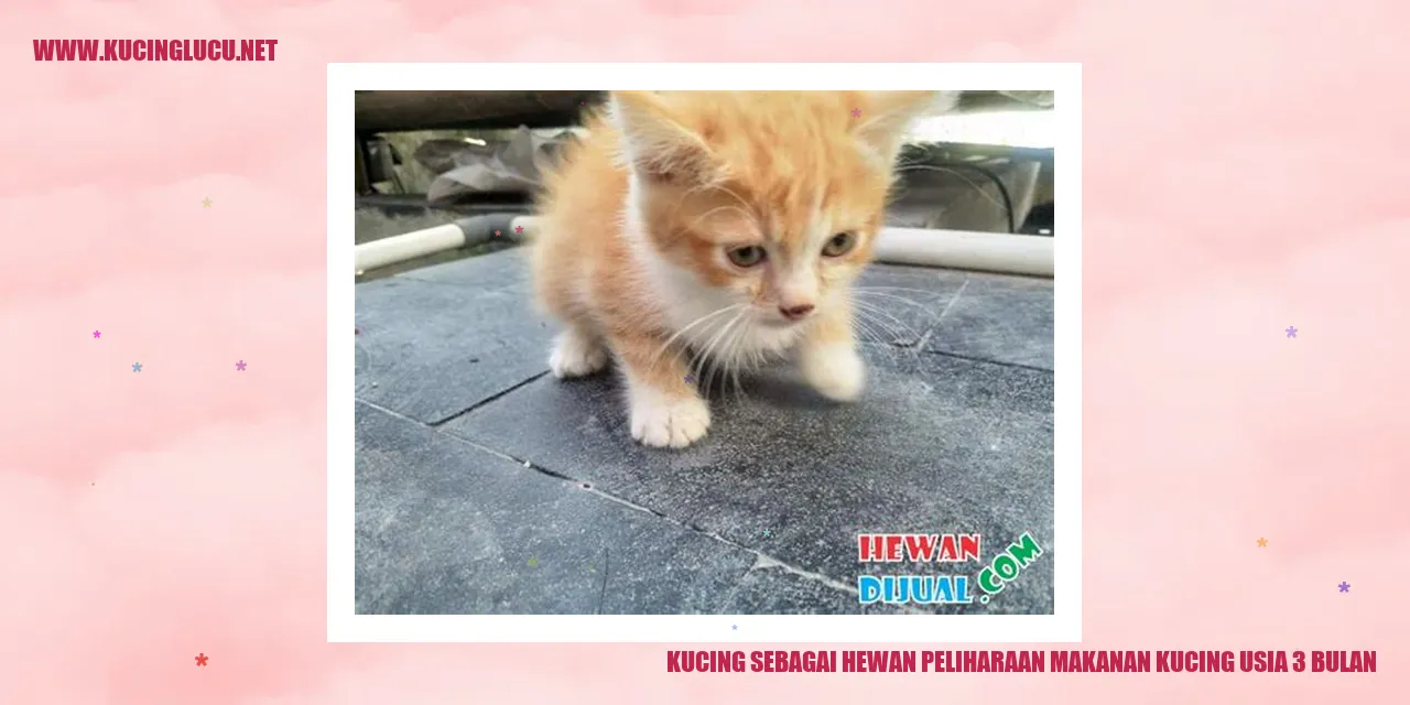 Kucing sebagai Hewan Peliharaan