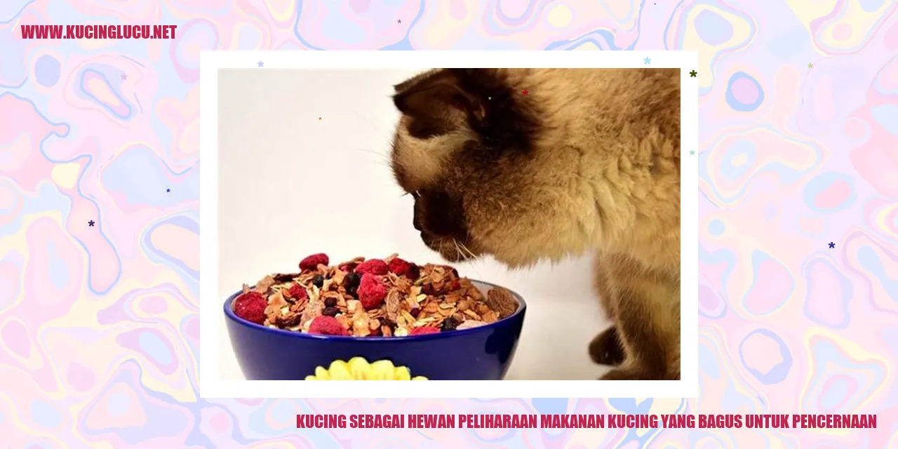Kucing yang Menggemaskan