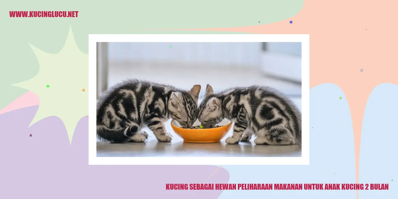 seekor anak kucing berbaring di dekat piring makanan