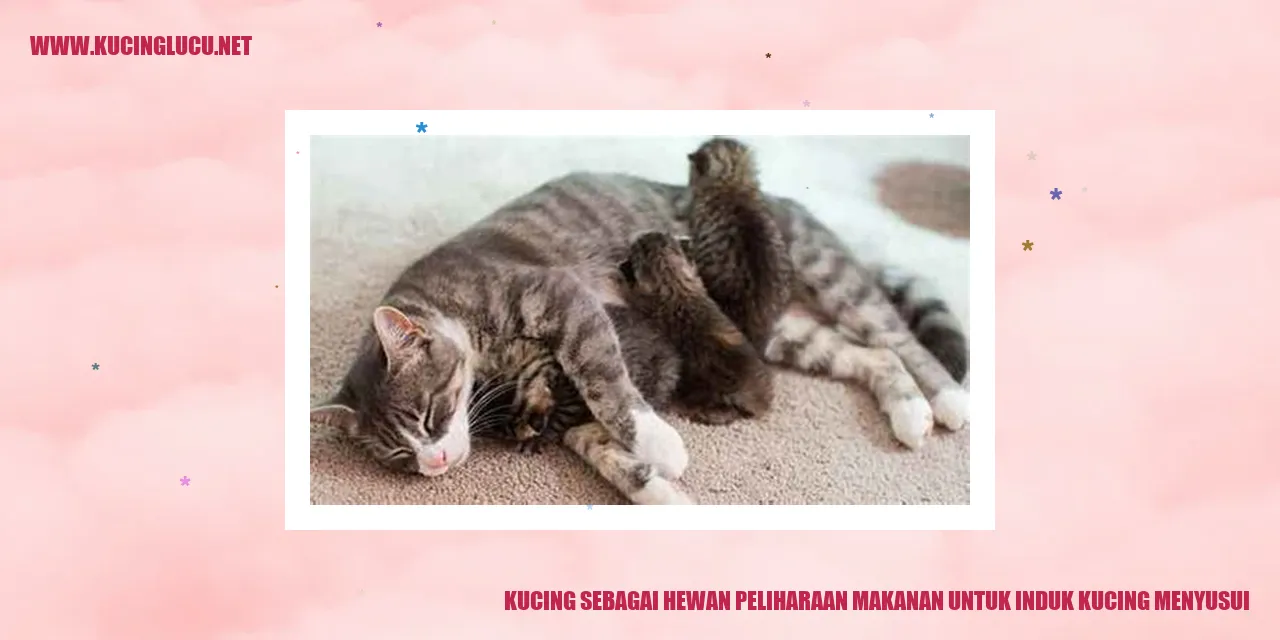 Gambar Kucing dengan Anaknya