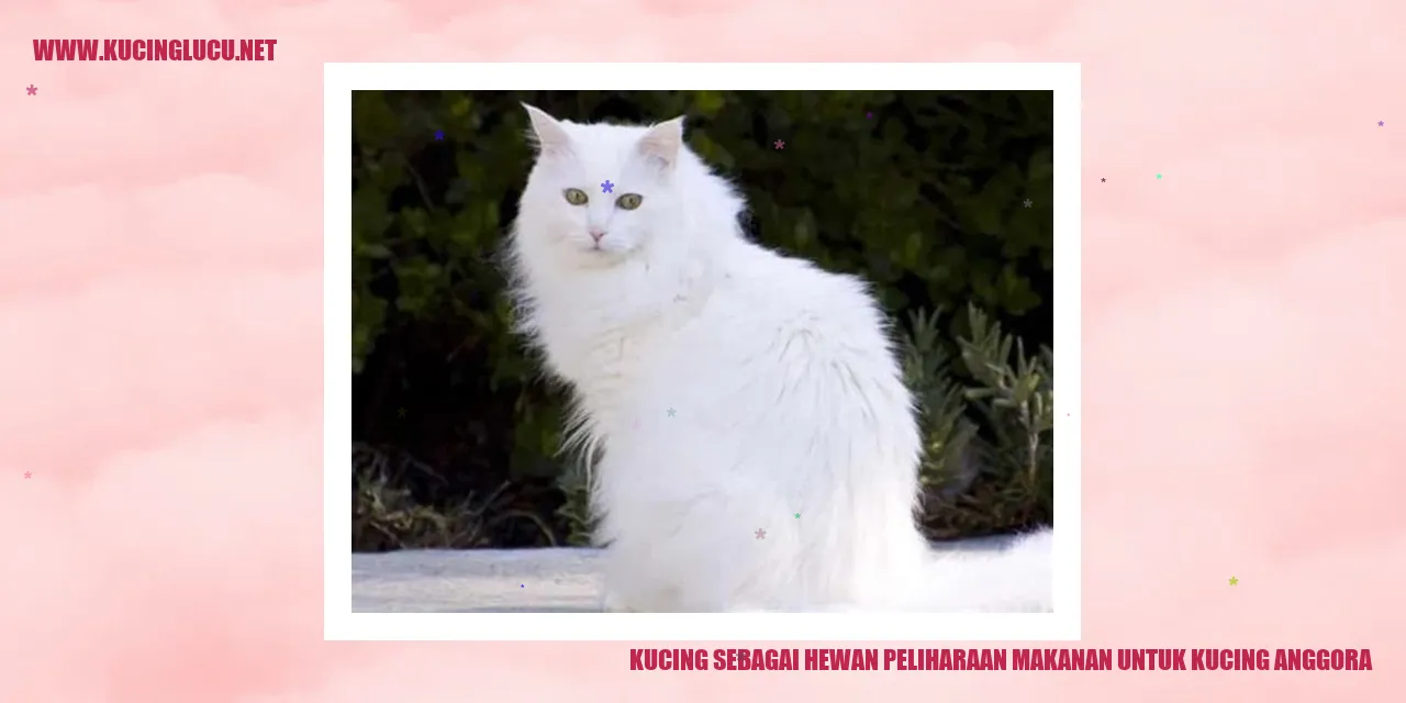 Gambar kucing anggora yang cantik dan sehat