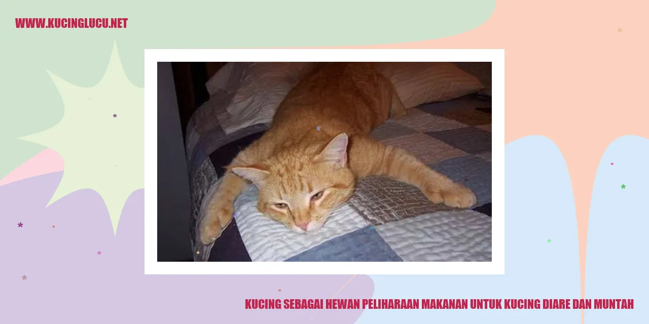 Kucing Lucu