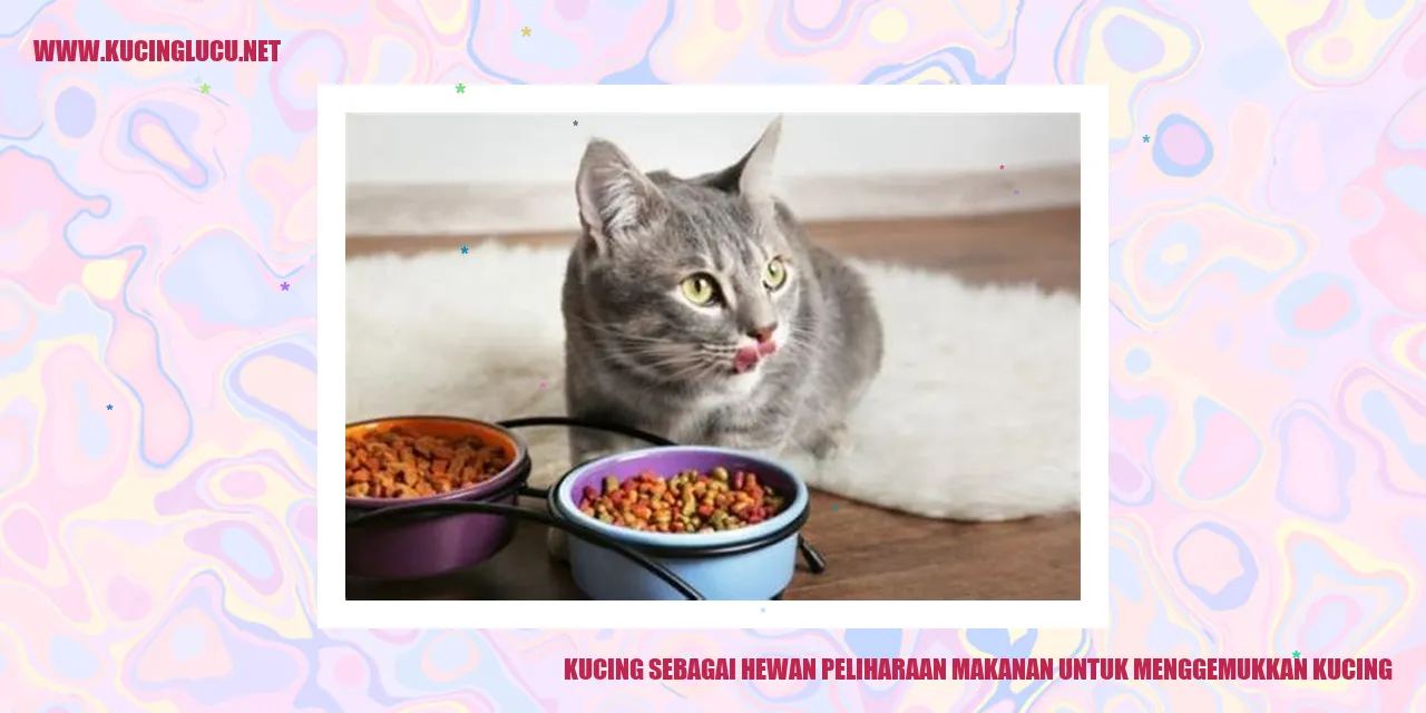 Kucing sebagai Hewan Peliharaan makanan untuk menggemukkan kucing