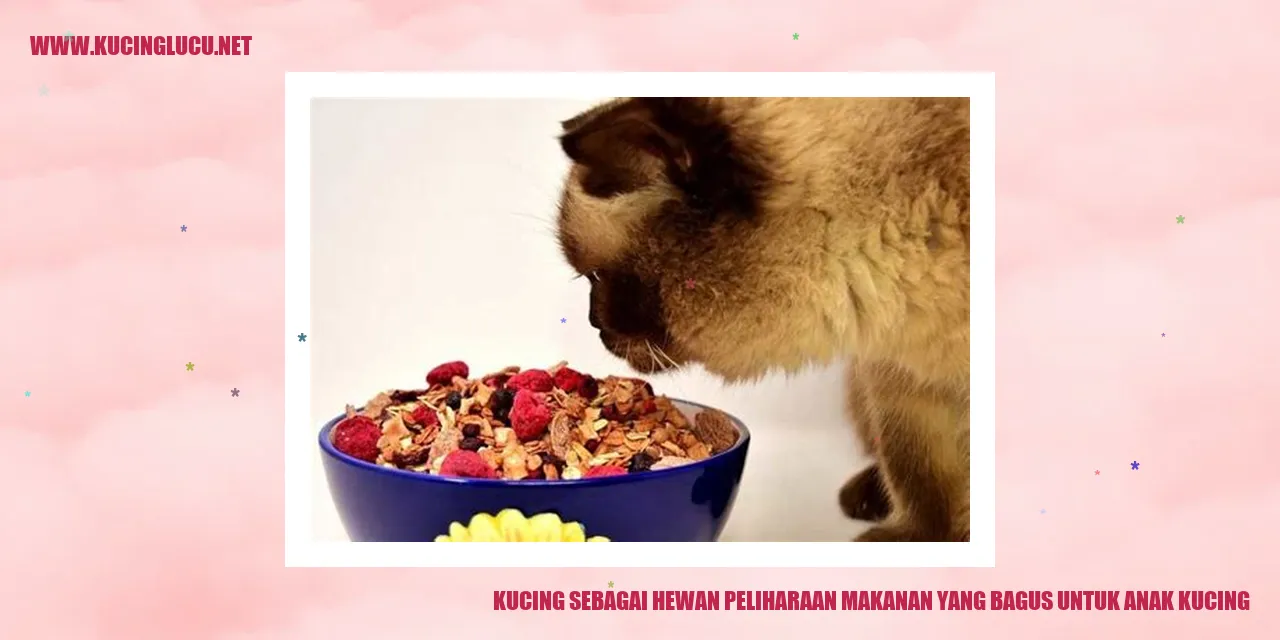 Kucing sebagai Hewan Peliharaan: Pilihan Makanan yang Tepat untuk Anak Kucing