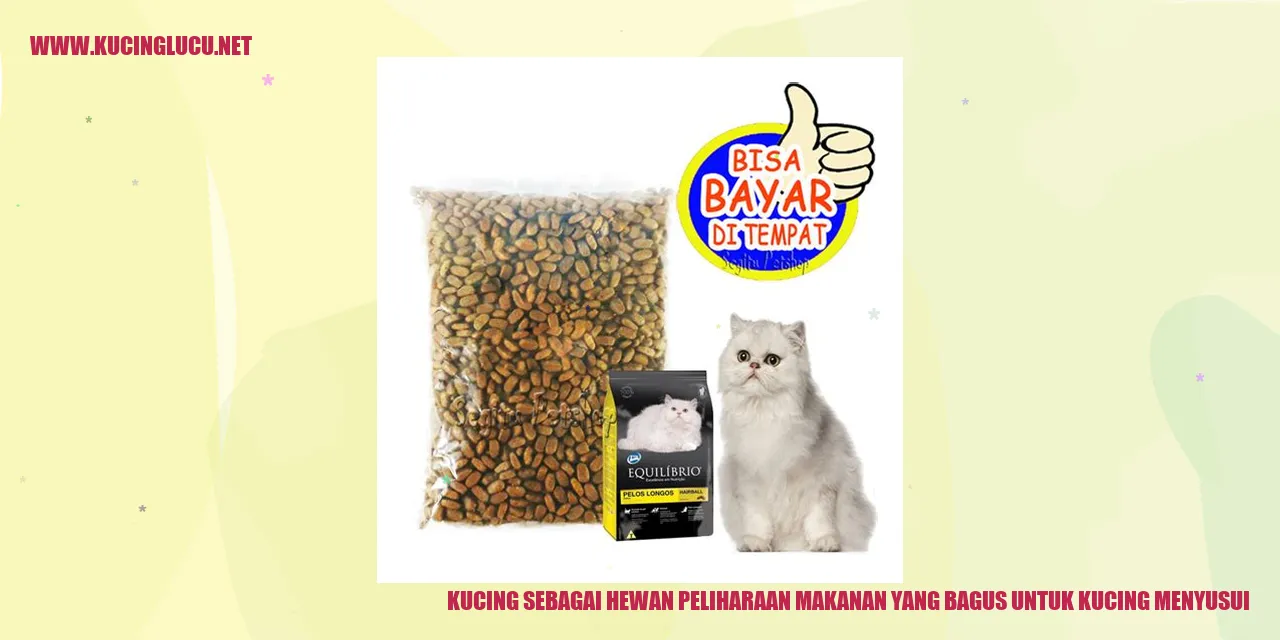 Gambar Kucing Menyusui