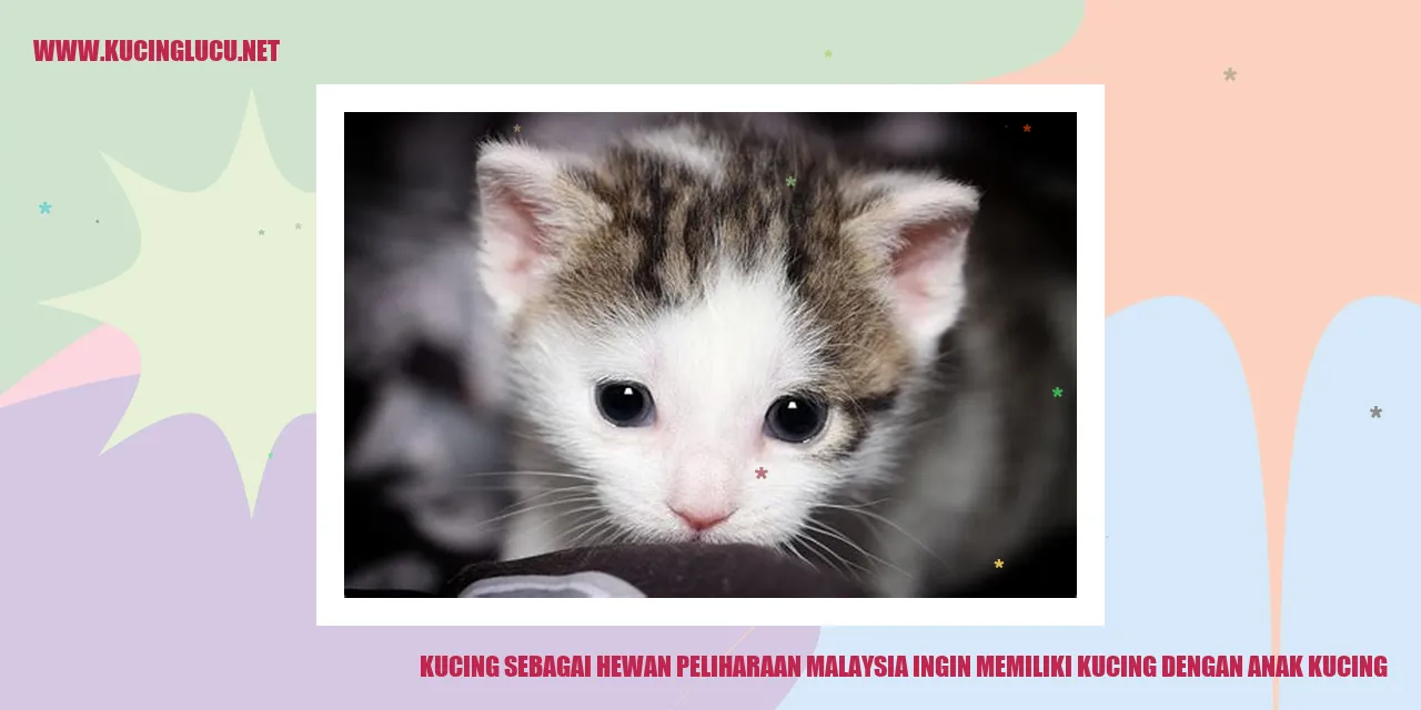 Gambar kucing bersama anak kucing