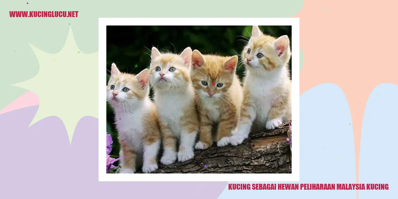 Kucing sebagai Hewan Peliharaan di Malaysia