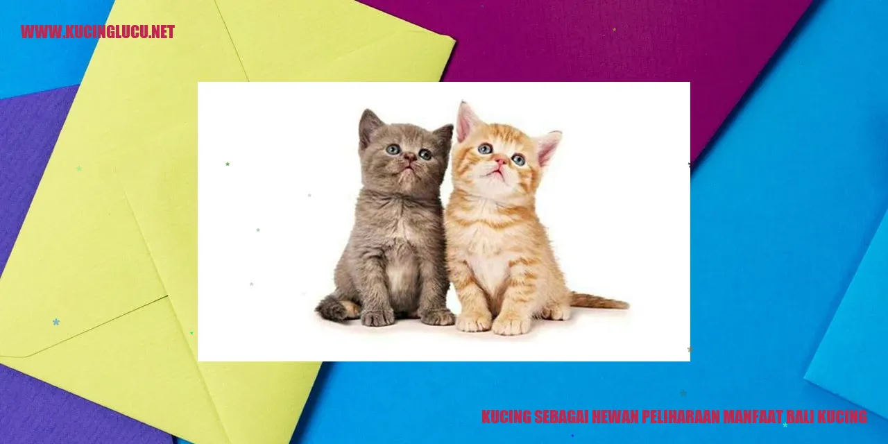 Kucing sebagai Hewan Peliharaan