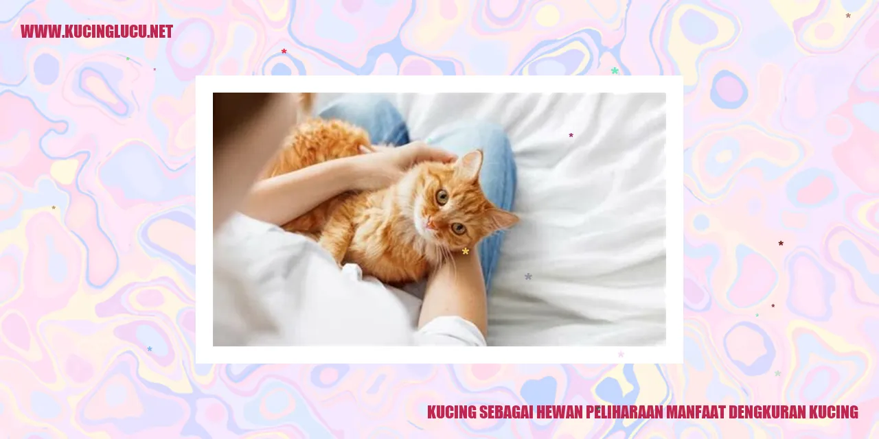 Gambar lucu kucing