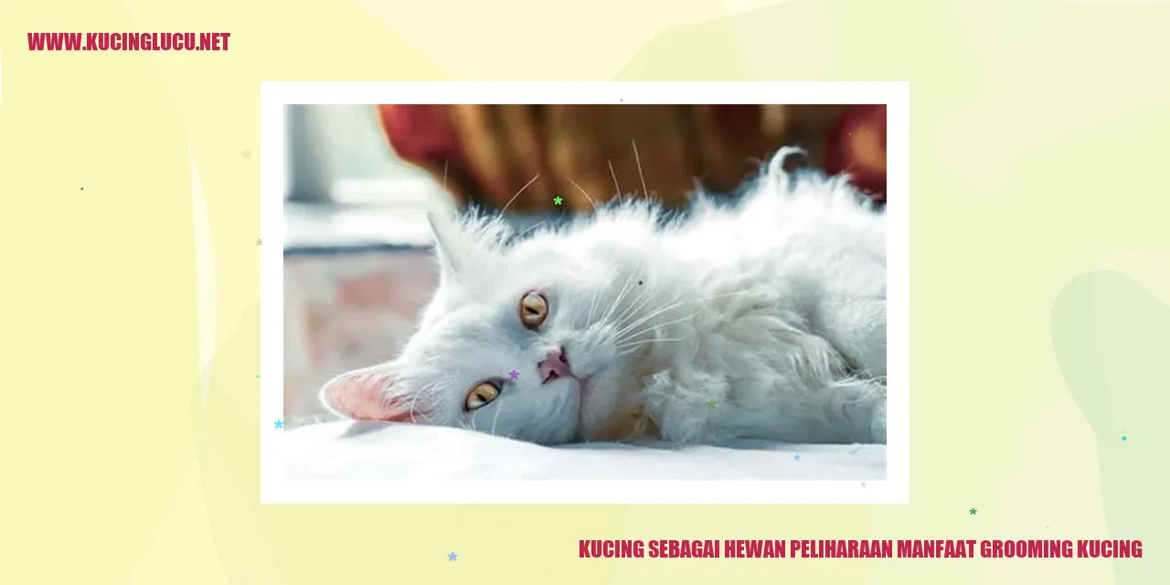 Kucing Peliharaan
