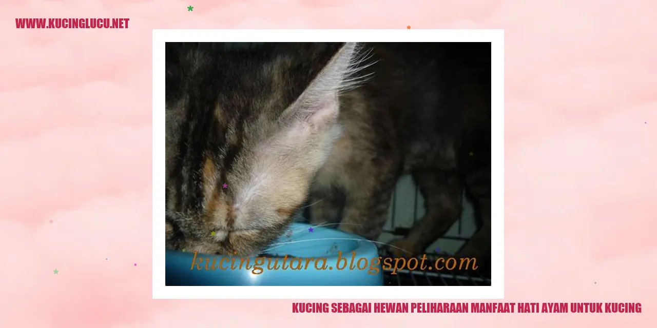 Kucing sebagai Hewan Peliharaan manfaat hati ayam untuk kucing