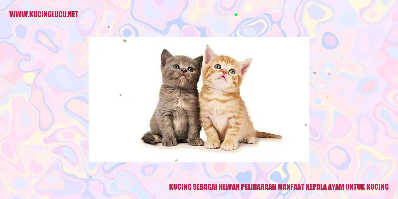 Gambar Kucing dengan kepala ayam