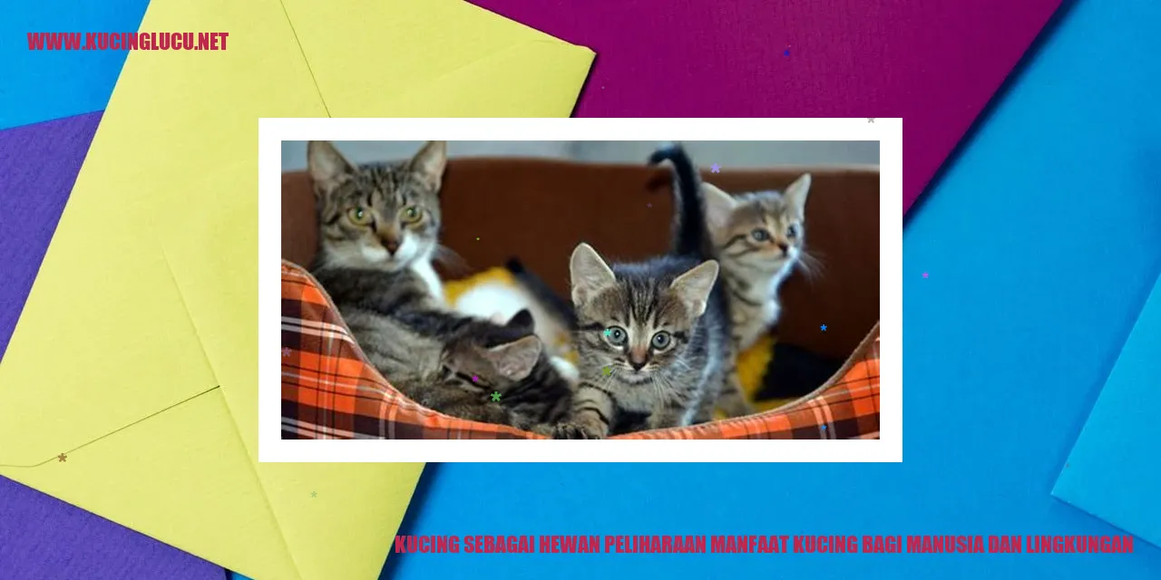 Potret Kucing yang Menggemaskan