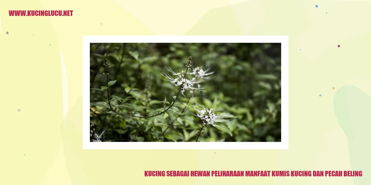 Kucing sebagai Teman Hewan