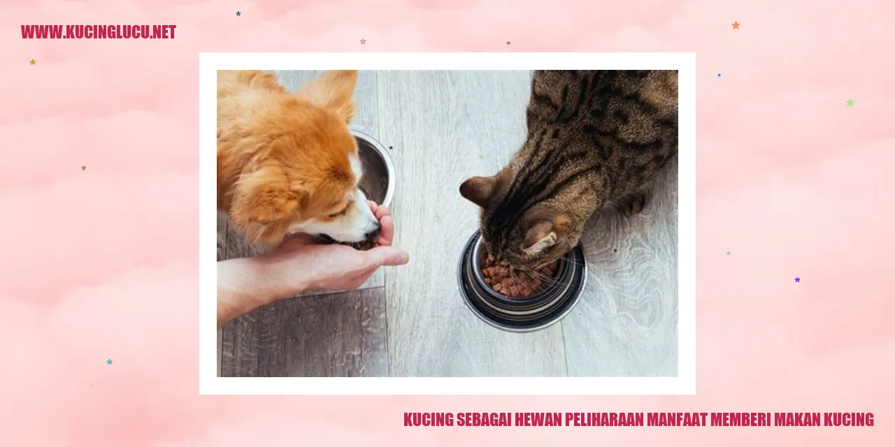 Gambar kucing