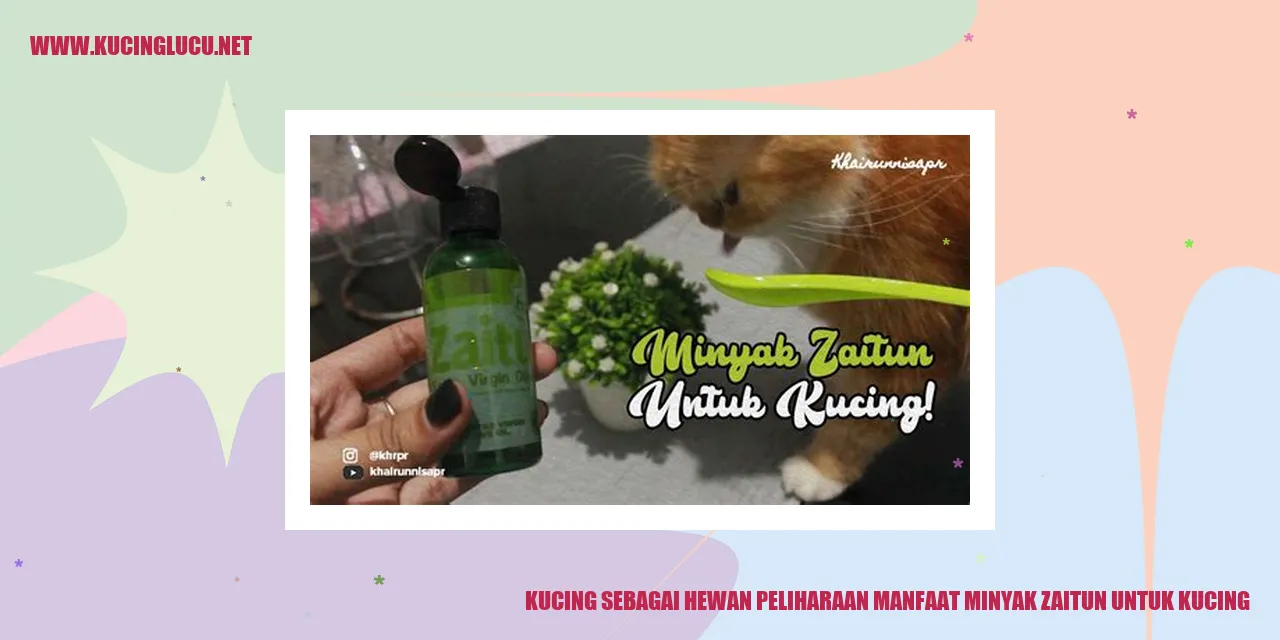 Gambar kucing