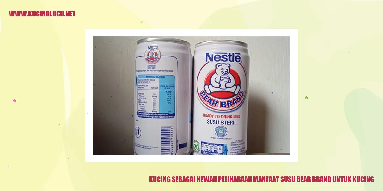 Gambar Kucing