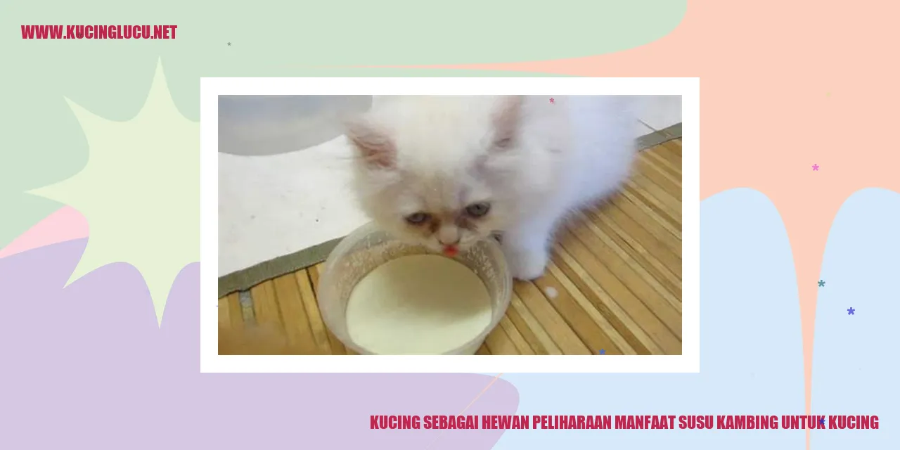 Gambar Kucing