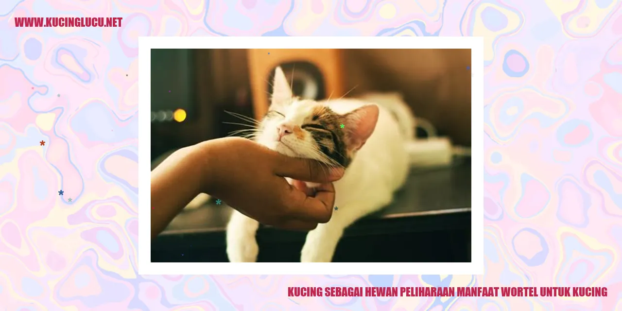 Gambar kucing dan wortel