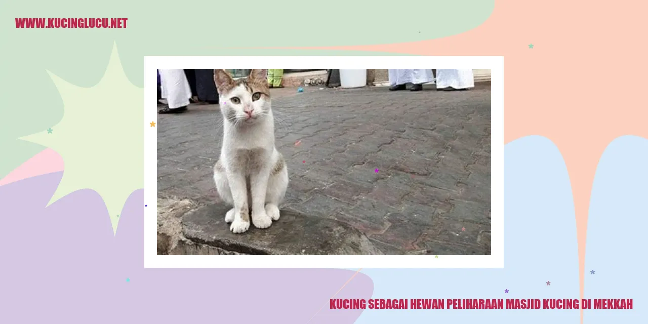 Kucing di Masjid