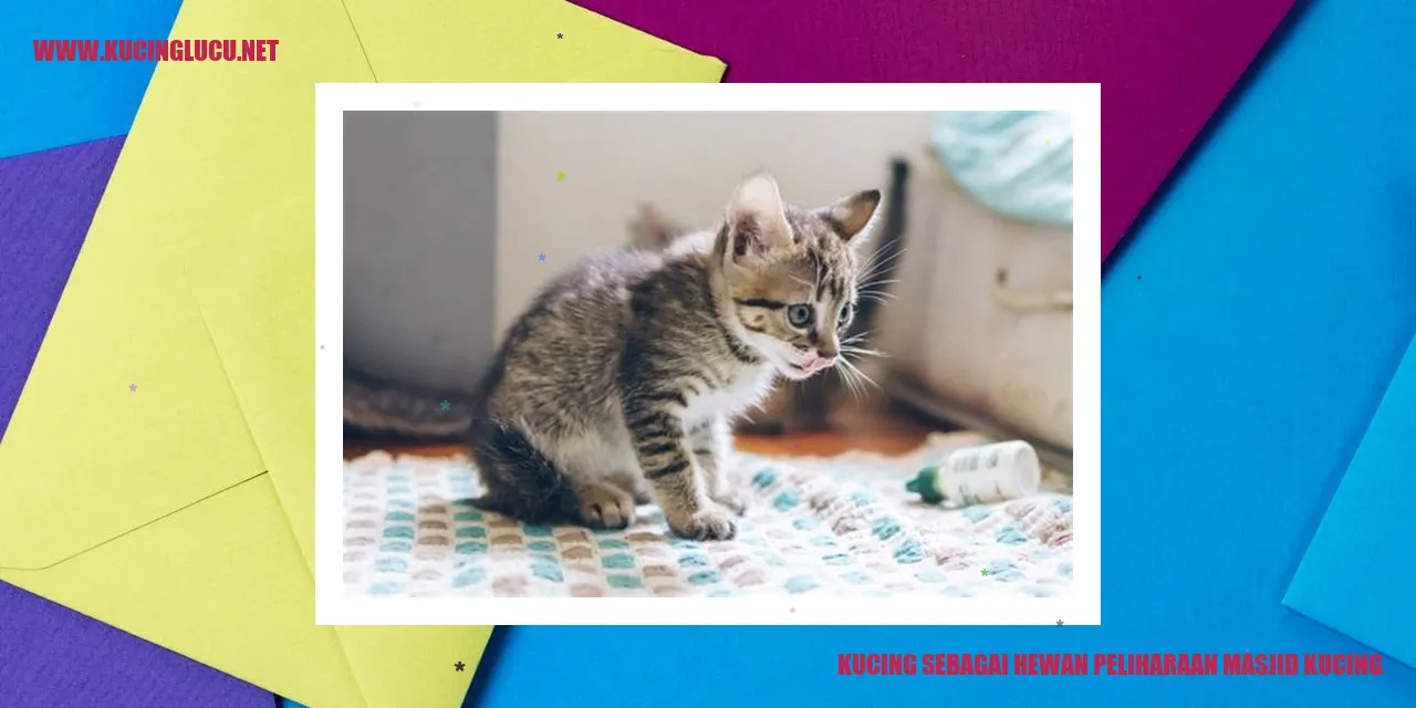 Kucing sebagai Hewan Peliharaan masjid kucing