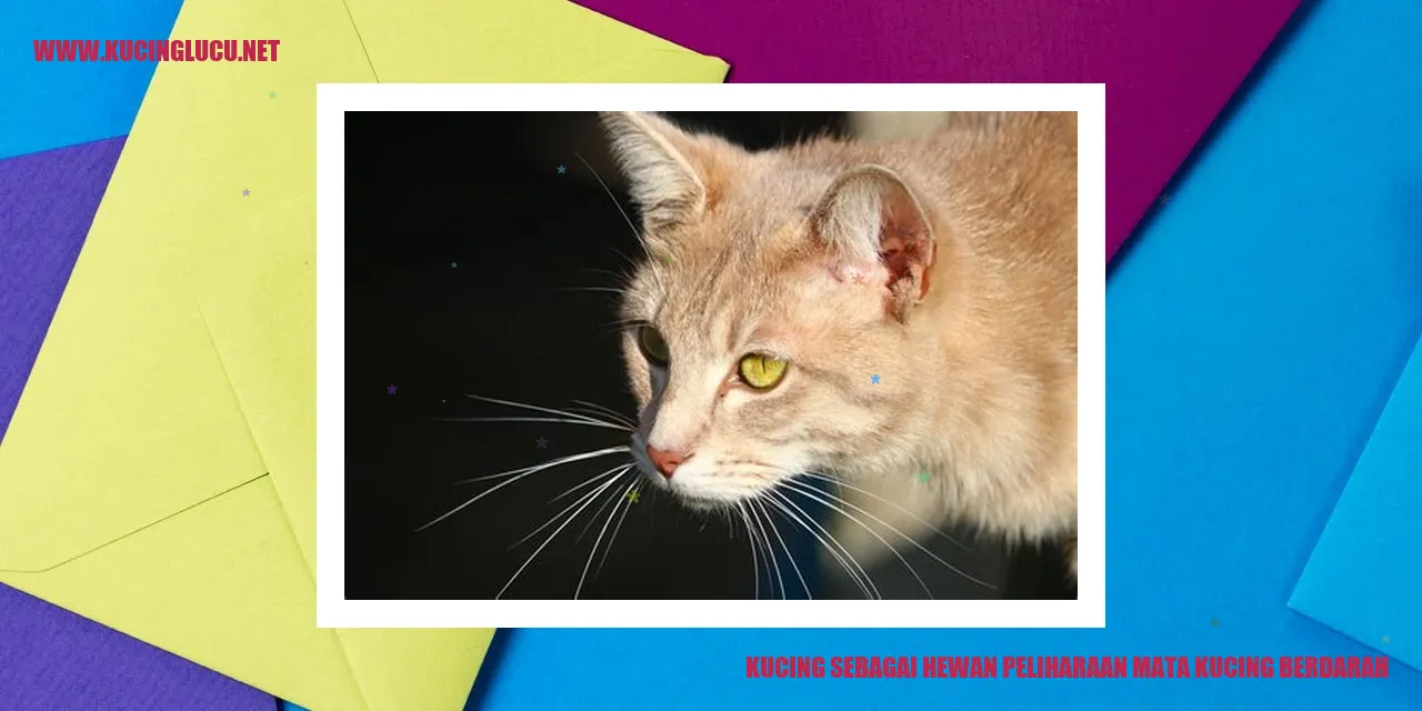 Gambar Kucing