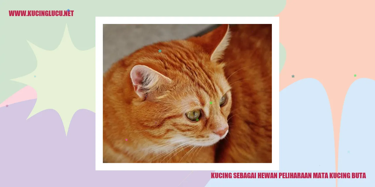 Kucing Buta yang Istimewa