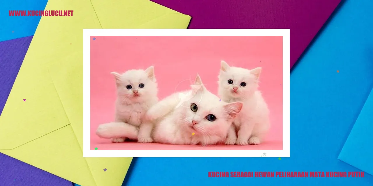 Kucing berkepala Indah