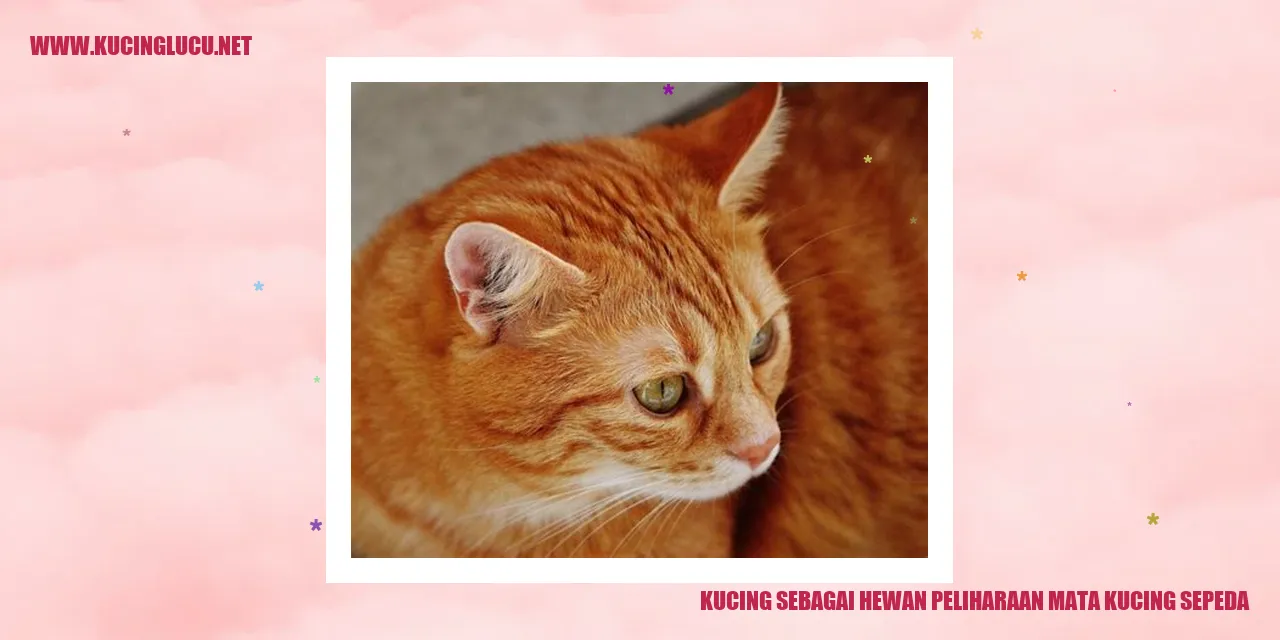 Gambar kucing sebagai hewan peliharaan