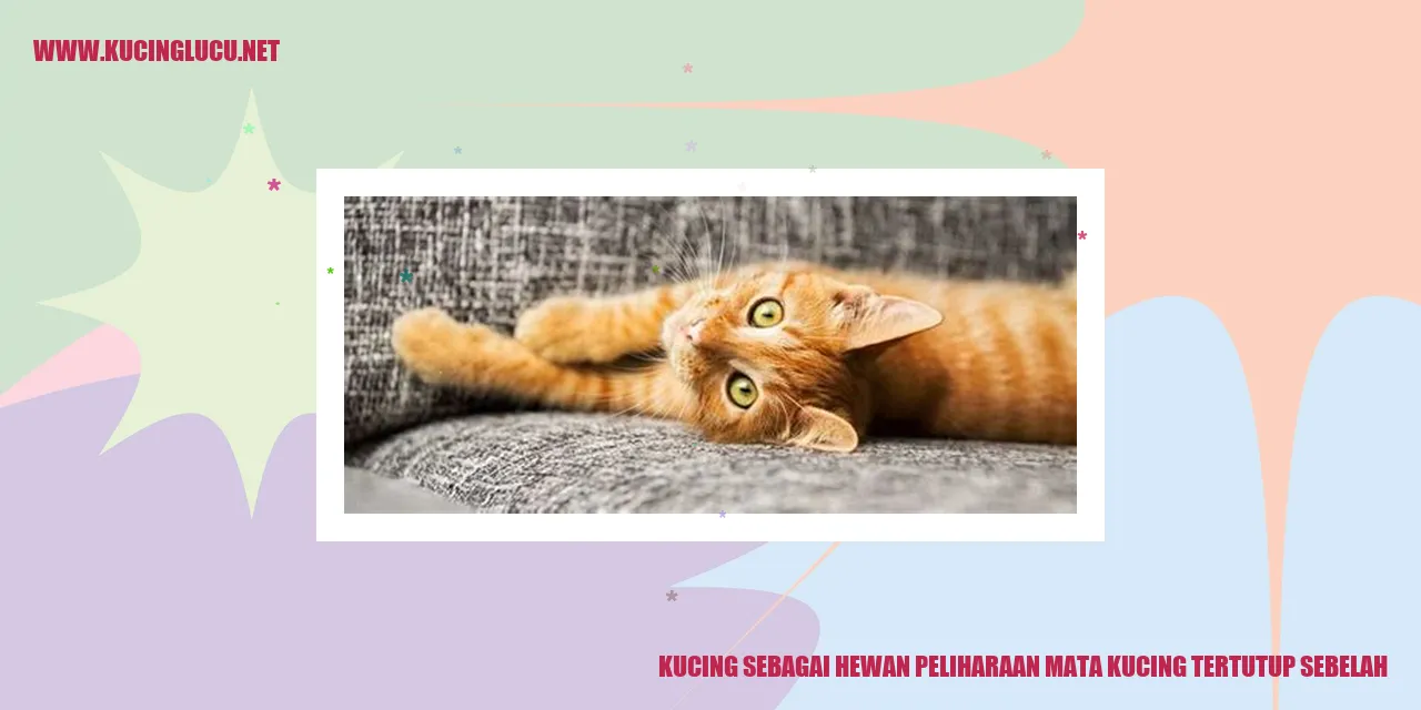 Kucing dengan mata tertutup sebelah