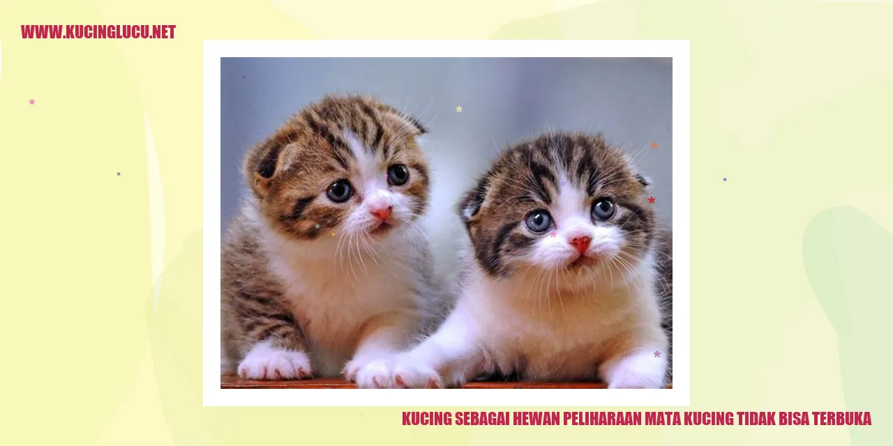 Potret manis seekor kucing