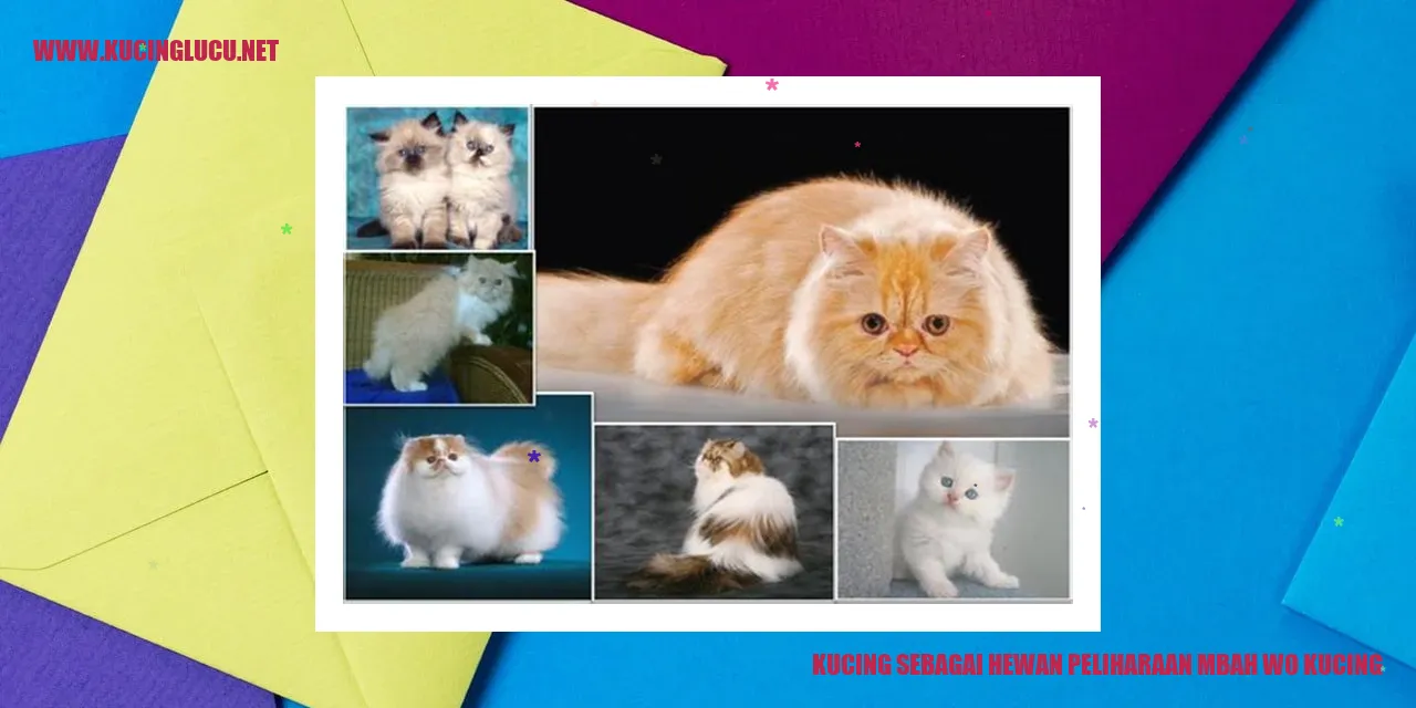 Kucing sebagai Hewan Peliharaan mbah wo kucing