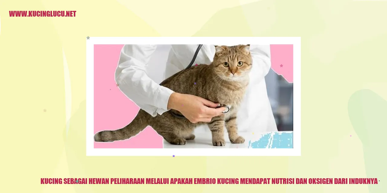 Kucing sebagai Hewan Peliharaan