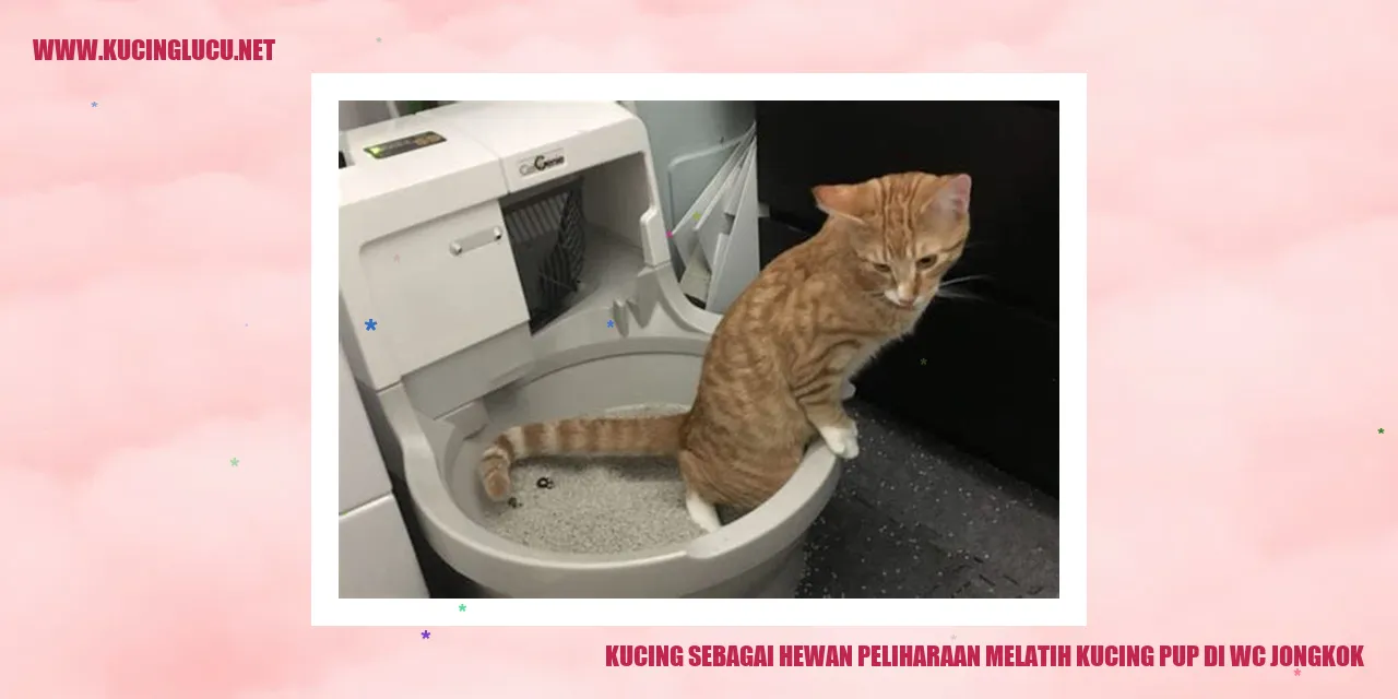 Kucing menggunakan WC jongkok