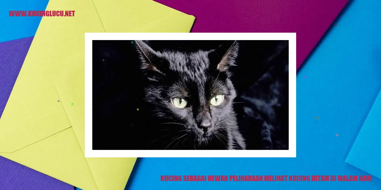 Gambar Kucing Berbulu Hitam