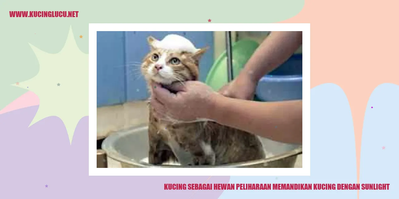Memandikan Kucing dengan Sinar Matahari