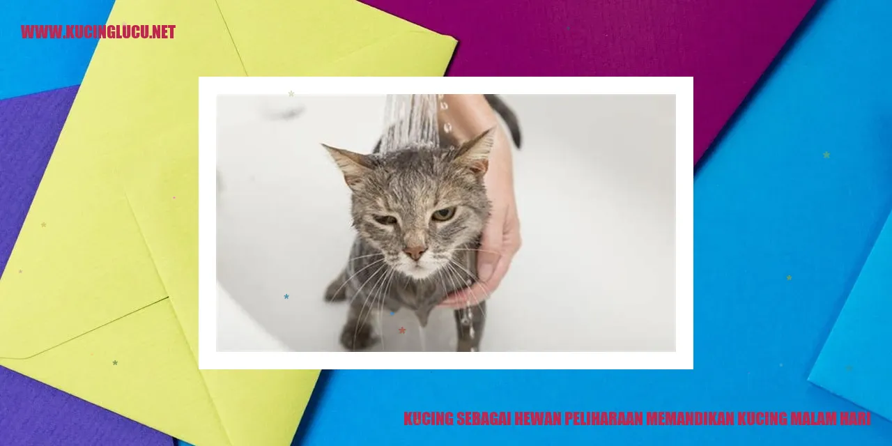Kucing mandi