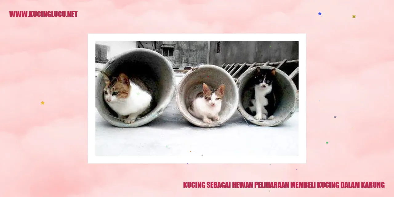 Kucing sebagai Hewan Peliharaan membeli kucing dalam karung