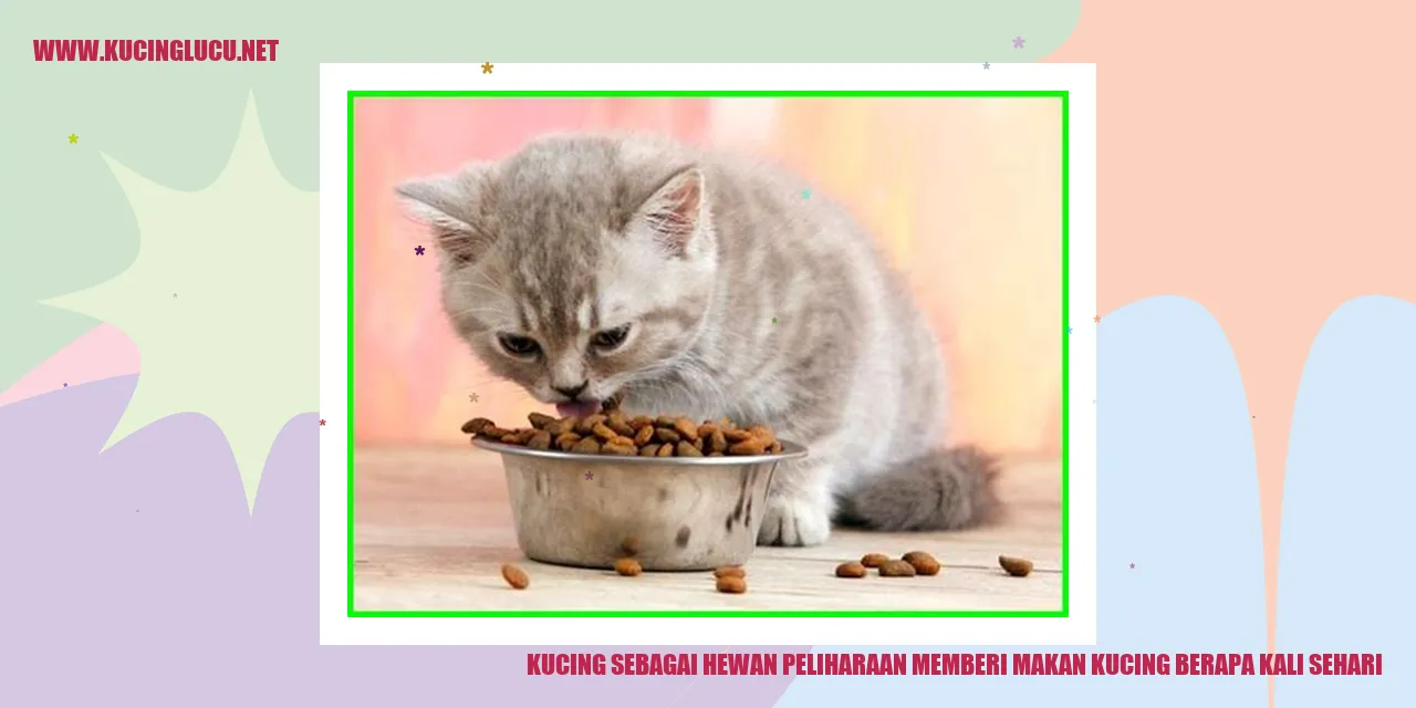Kucing sebagai Hewan Peliharaan memberi makan kucing berapa kali sehari