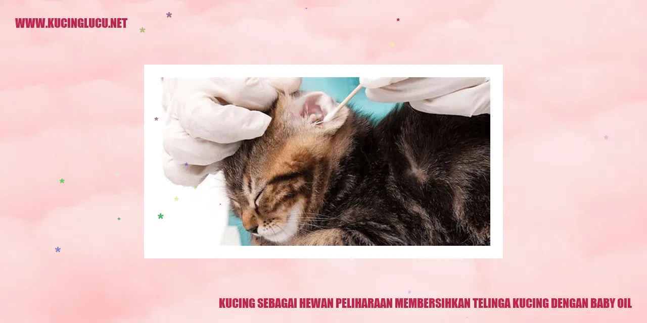 Gambar kucing yang sedang dirawat telinganya