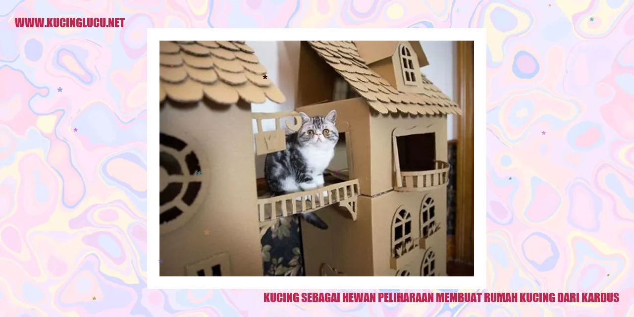 Kucing membuat rumah kucing dari kardus