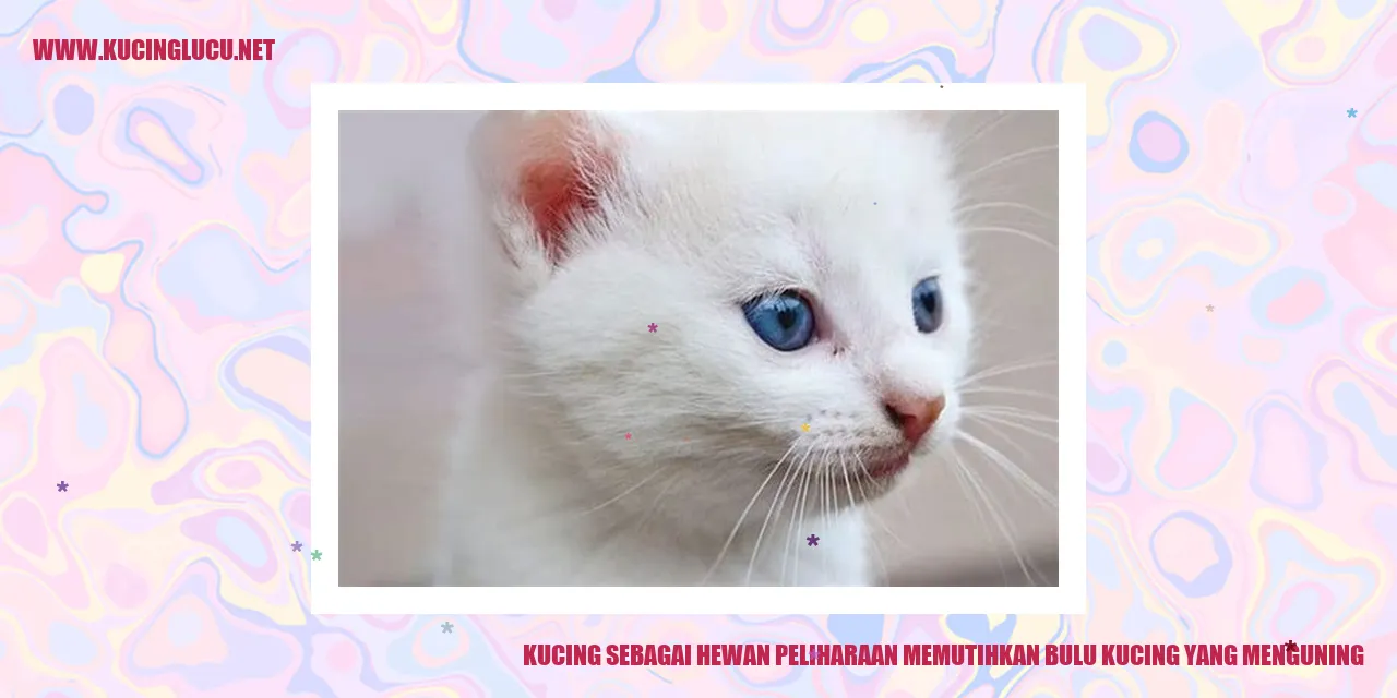 Gambar Kucing dengan Bulu Putih