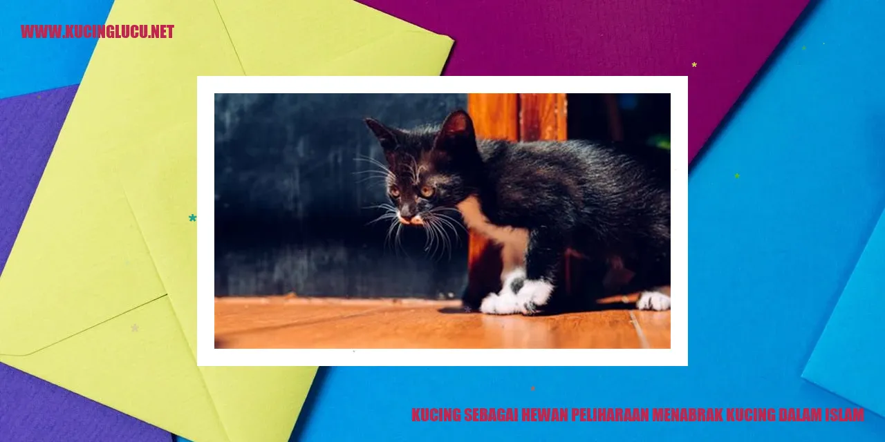 Kucing sebagai Hewan Peliharaan menabrak kucing dalam islam