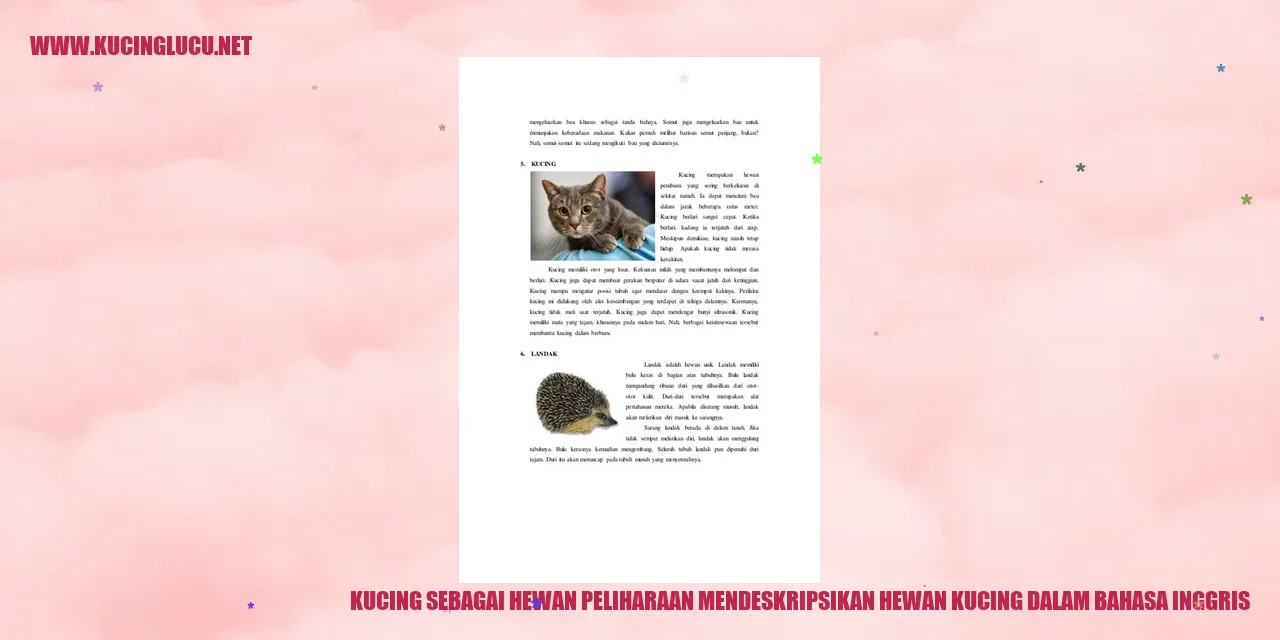 Kucing sebagai Hewan Peliharaan