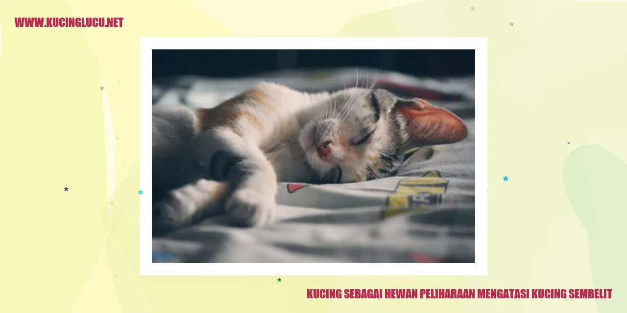 Gambar kucing yang lucu dan menggemaskan