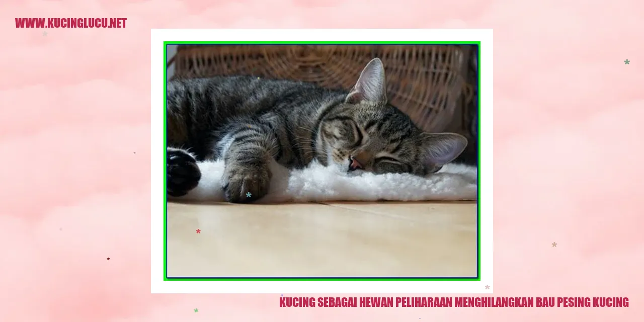 Kucing sebagai Hewan Peliharaan menghilangkan bau pesing kucing