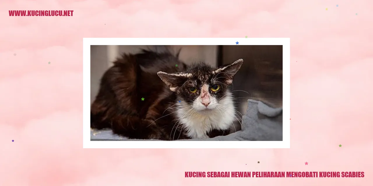 Kucing Mengobati Scabies