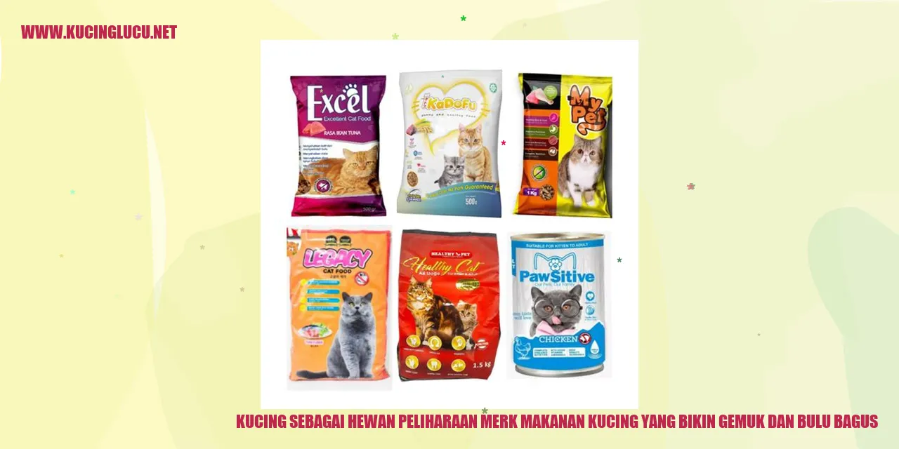 Gambar Kucing