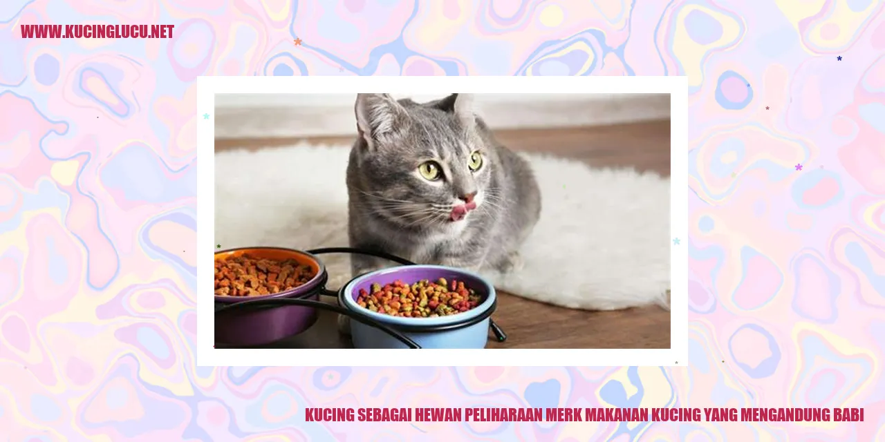 Gambar Kucing Lucu